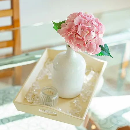 Zinfandel וודיצה