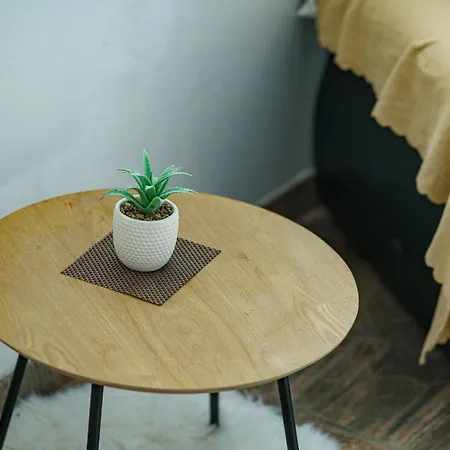 Zinfandel וודיצה