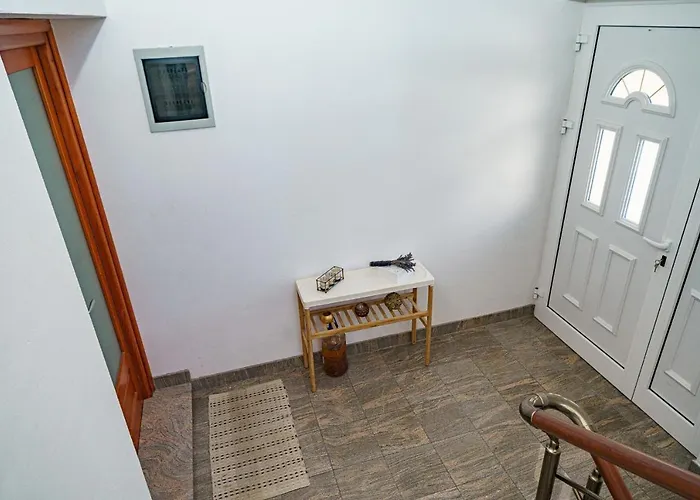 Zinfandel * 보디체